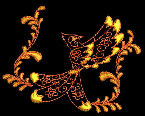 African Loerie Combo