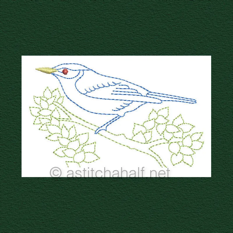 Botany and Birds Combo