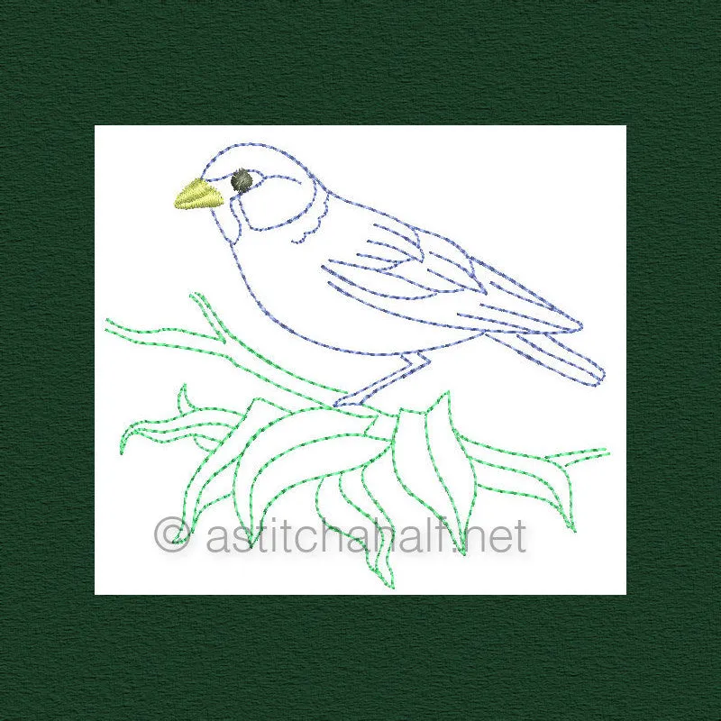 Botany and Birds Combo