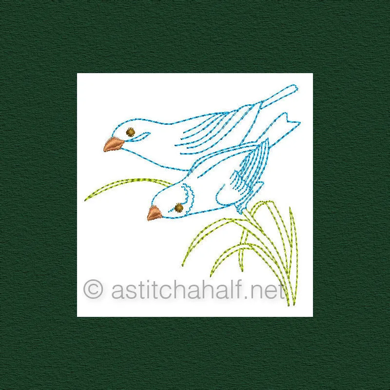 Botany and Birds Combo