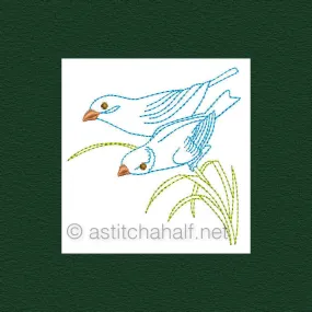 Botany and Birds Combo