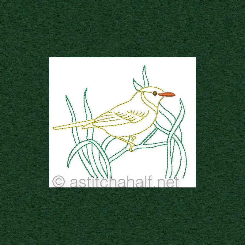 Botany and Birds Combo
