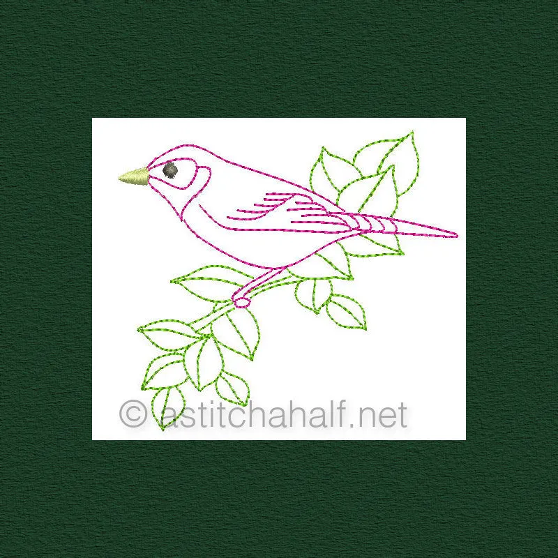 Botany and Birds Combo