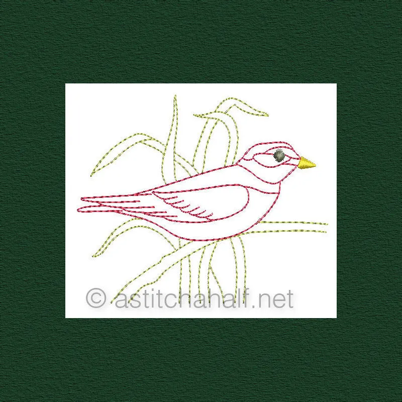 Botany and Birds Combo