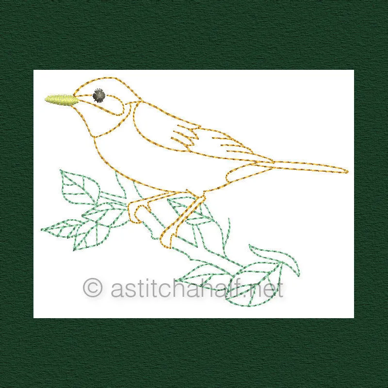 Botany and Birds Combo