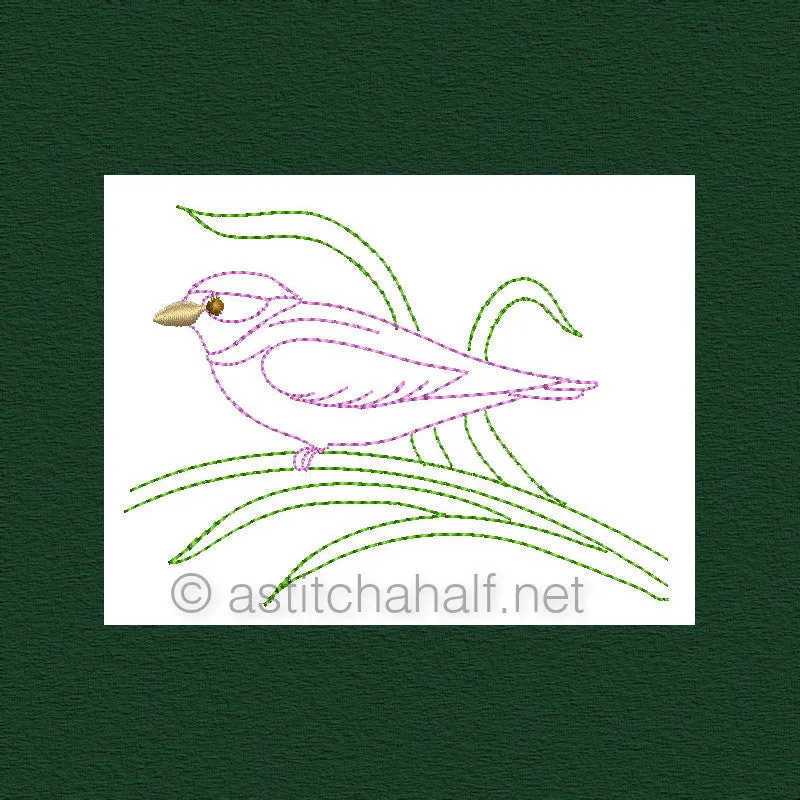 Botany and Birds Combo