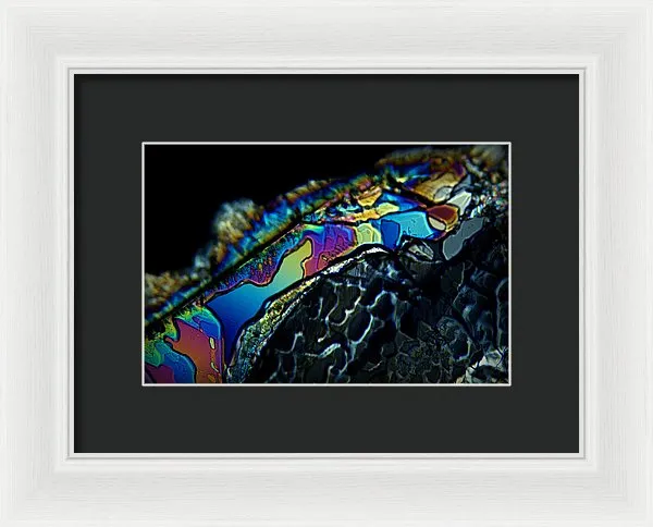 Motley - Framed Print