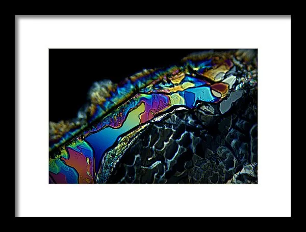 Motley - Framed Print