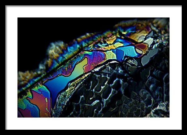 Motley - Framed Print
