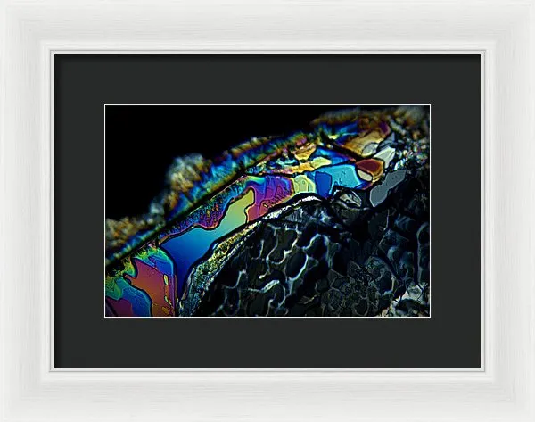 Motley - Framed Print