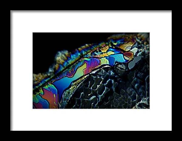 Motley - Framed Print