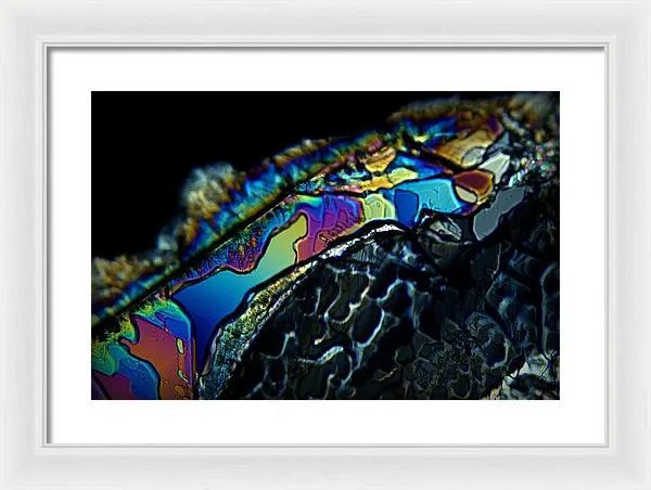 Motley - Framed Print