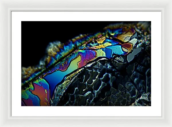 Motley - Framed Print