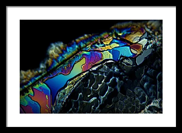 Motley - Framed Print
