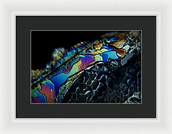 Motley - Framed Print
