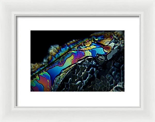 Motley - Framed Print