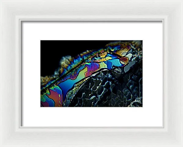 Motley - Framed Print