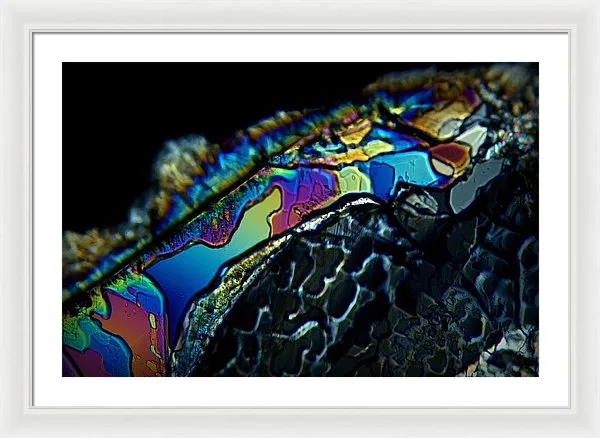 Motley - Framed Print