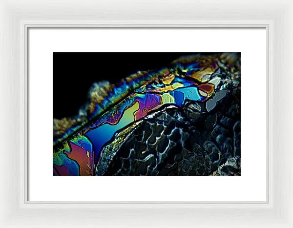 Motley - Framed Print