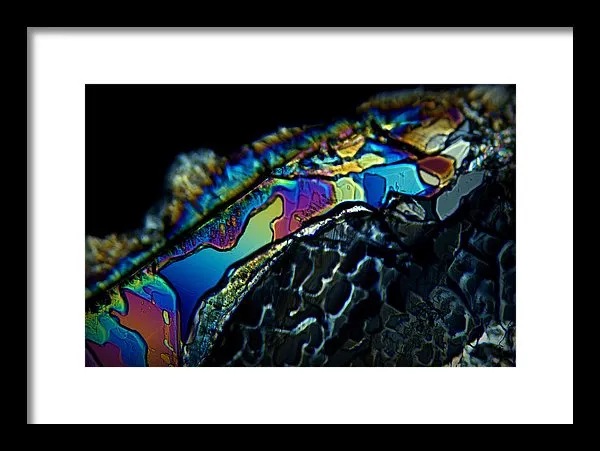 Motley - Framed Print
