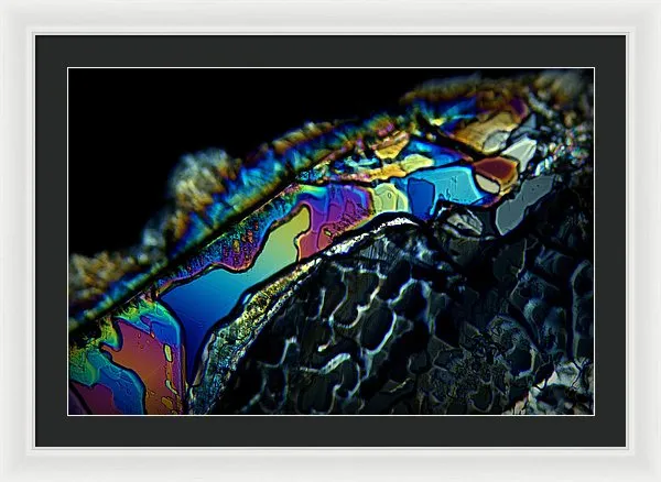 Motley - Framed Print
