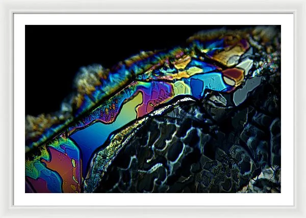 Motley - Framed Print