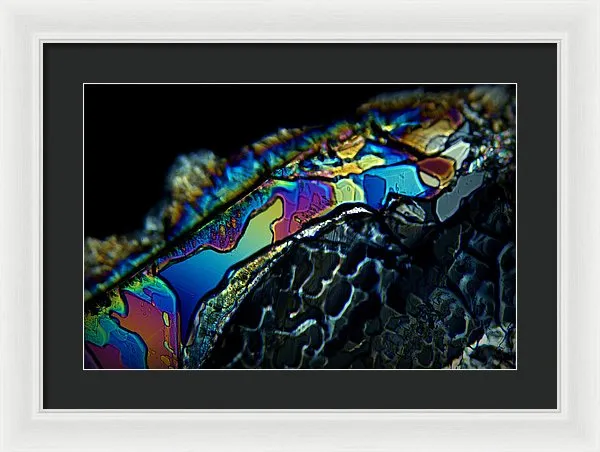 Motley - Framed Print