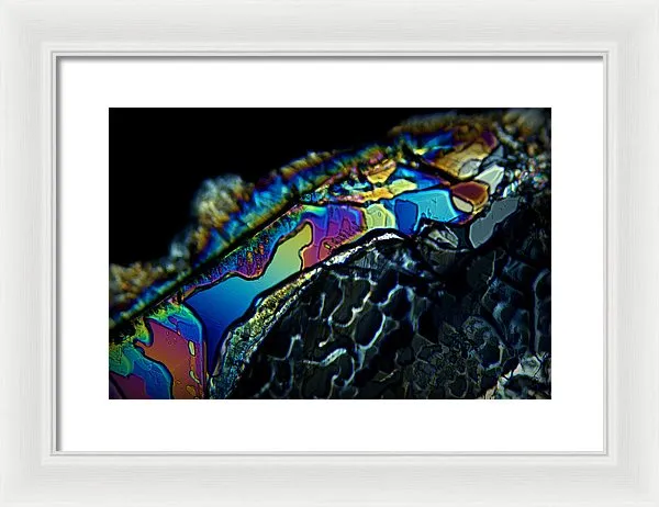Motley - Framed Print