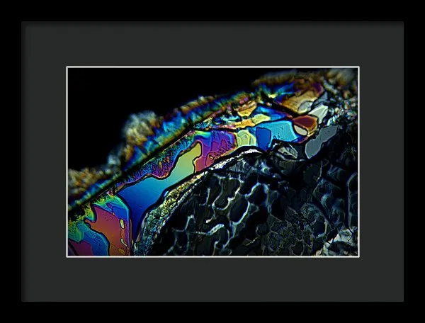 Motley - Framed Print