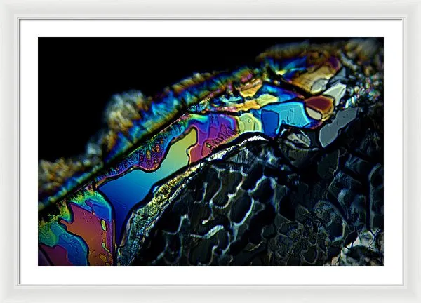 Motley - Framed Print